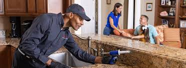 Best Pest Prevention Services  in Cottonde, AL